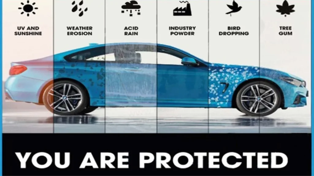 paint protection steps